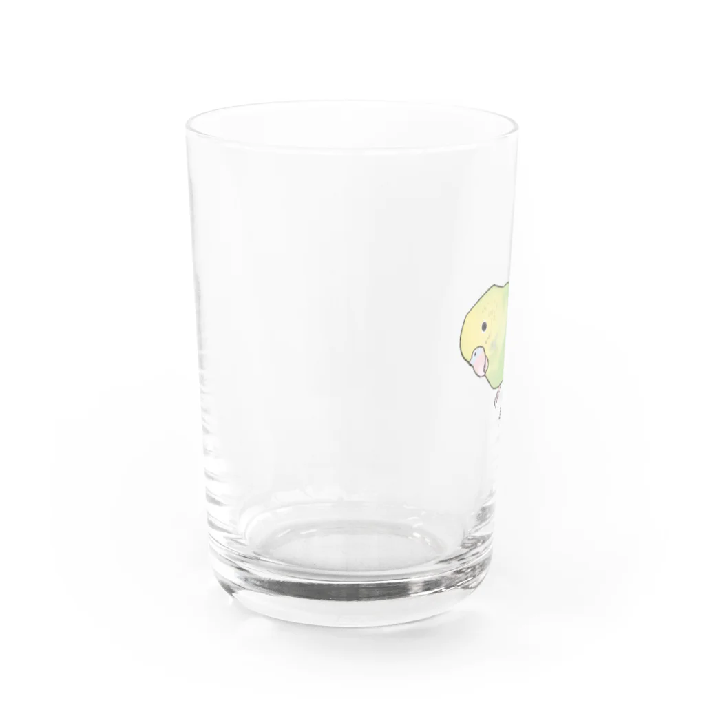 まめるりはことりの首傾げ　スパングルセキセイインコちゃん【まめるりはことり】 Water Glass :left