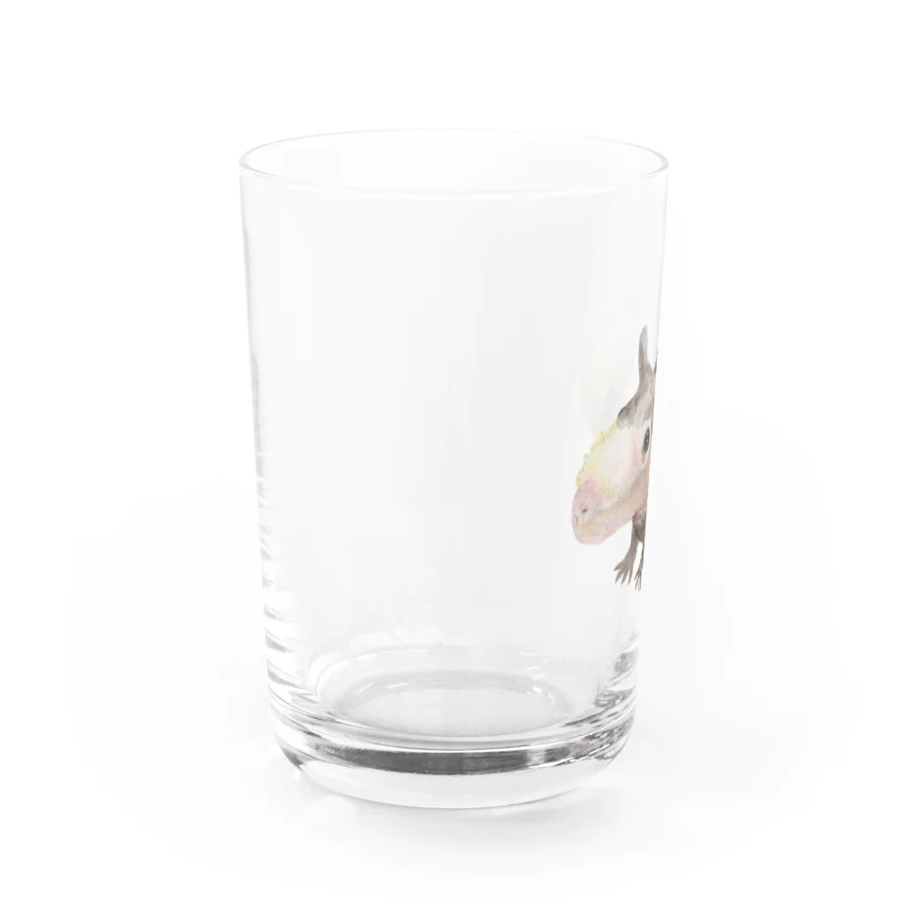 aNone sOnoneのスキニーギニアピッグ Water Glass :left