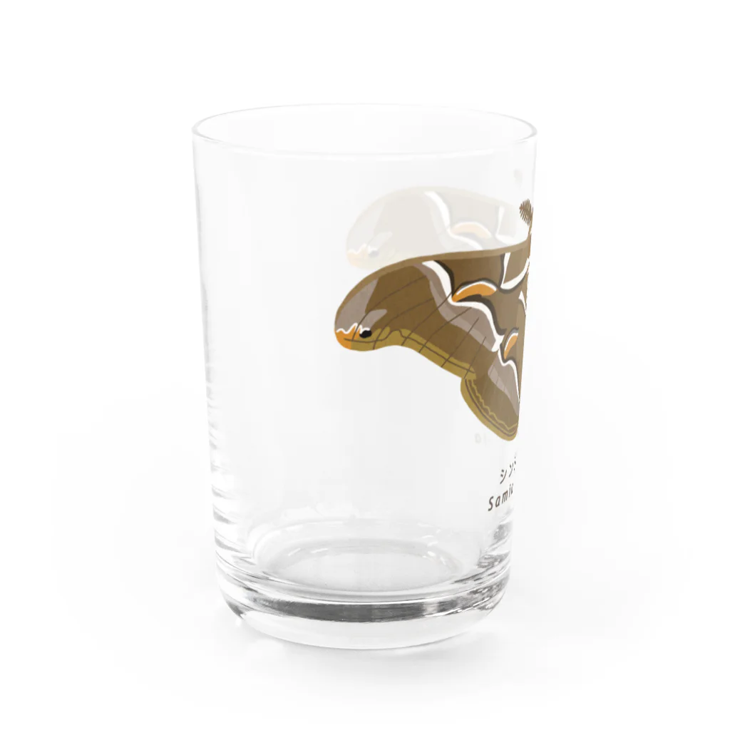 さちこの生物雑貨のシンジュサン Water Glass :left