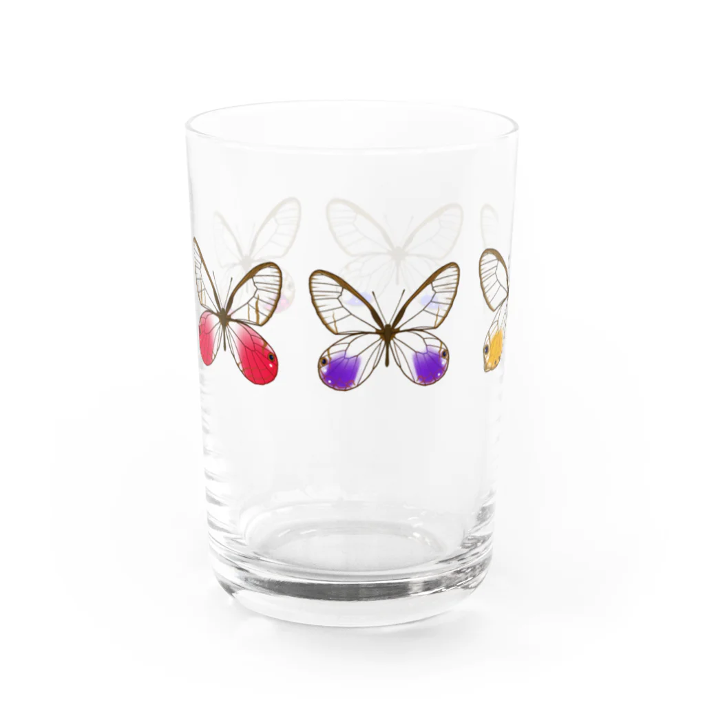 てふのようちえんのスカシジャノメ5種盛り合わせセット Water Glass :left