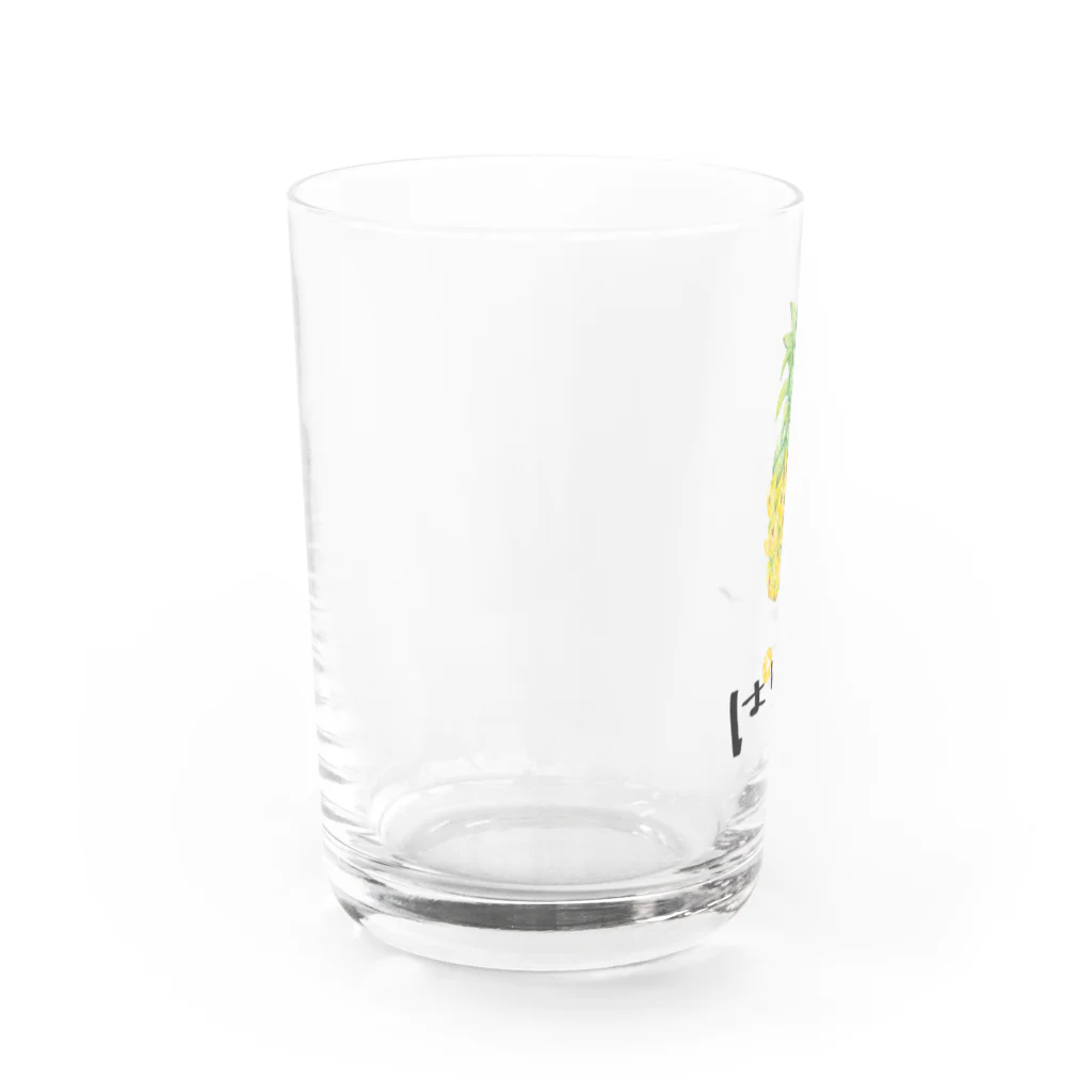 mayapatternのぱいん Water Glass :left