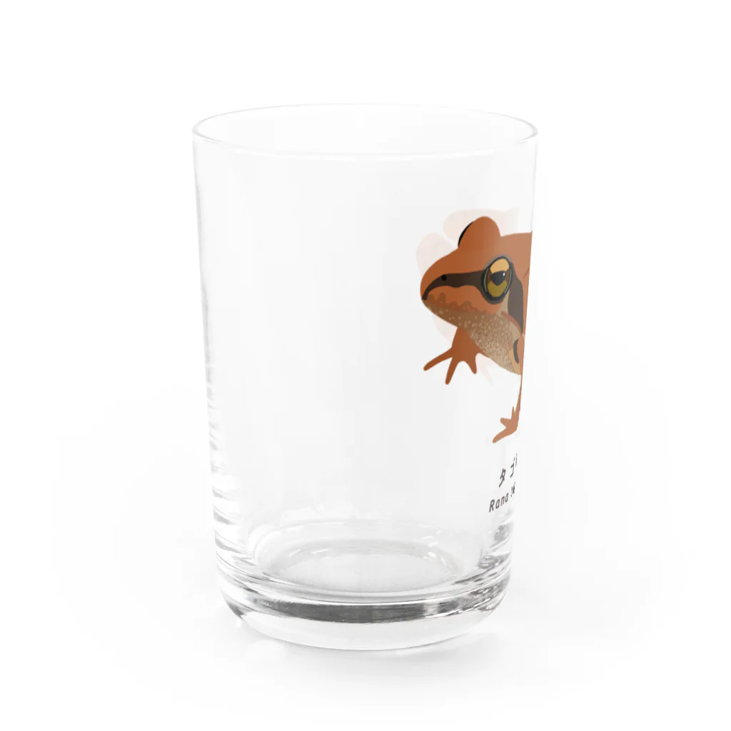 さちこの生物雑貨のタゴガエル Water Glass :left