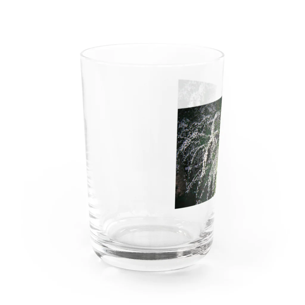 Gradually-storeのYUKIYANAGI Water Glass :left