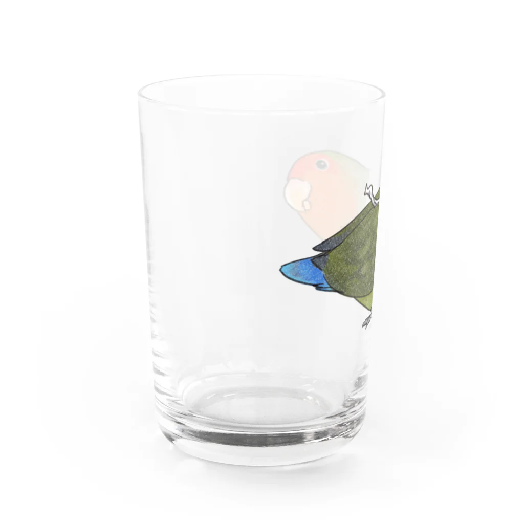 まめるりはことりのおすましコザクラインコ　きなこちゃん【まめるりはことり】 Water Glass :left