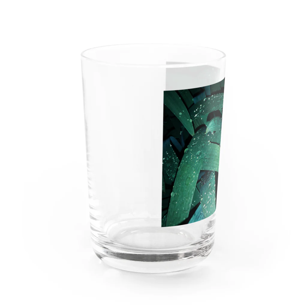 テユタオイシューのグッズの千文字「Don't care, but care」の葉っぱ Water Glass :left