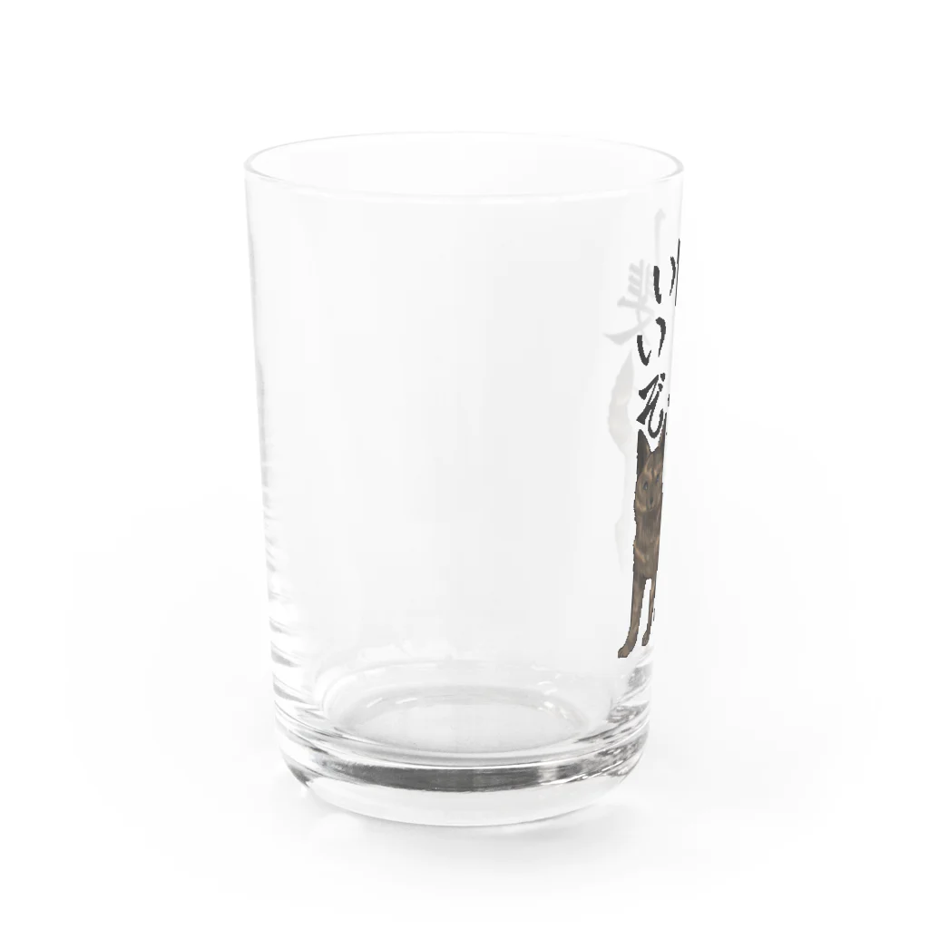 くろげちゃまじりの甲斐犬はいいぞ（中虎） Water Glass :left