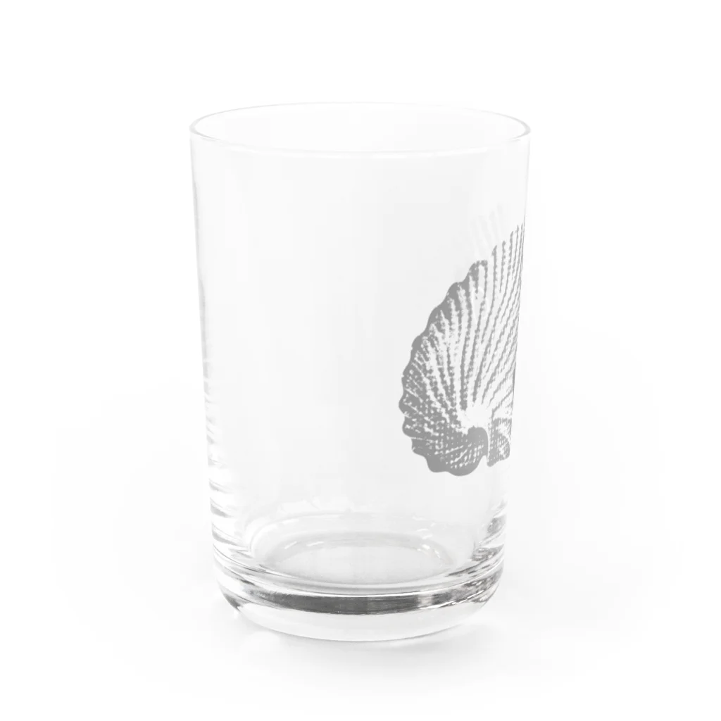 マシロ　ミュージアムショップのマシロ Water Glass :left