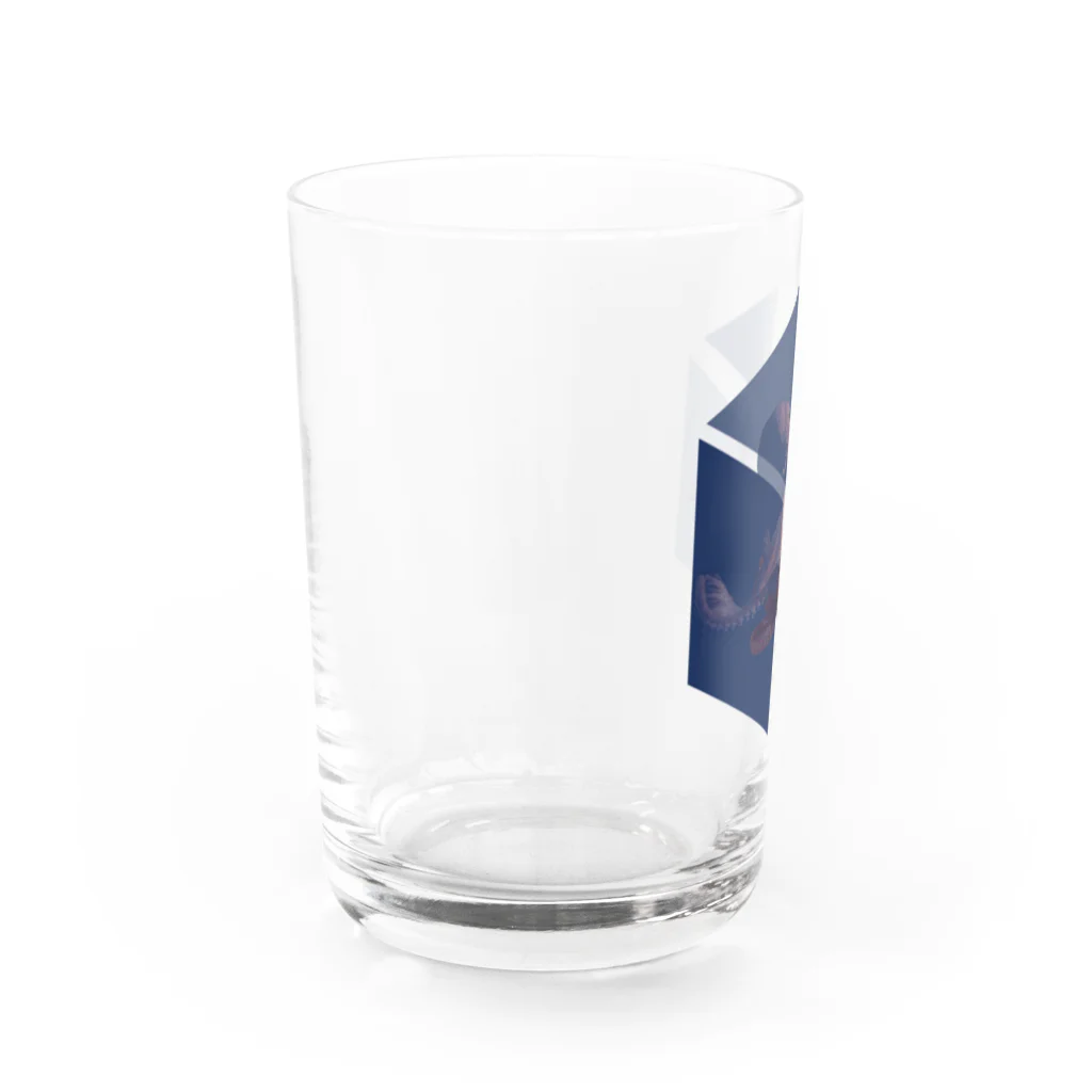 こけしボックスのシュレディンガーの蛸 Water Glass :left