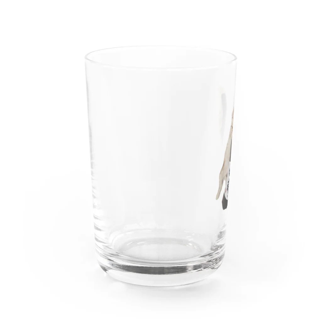 ⓐの酔眠 Water Glass :left