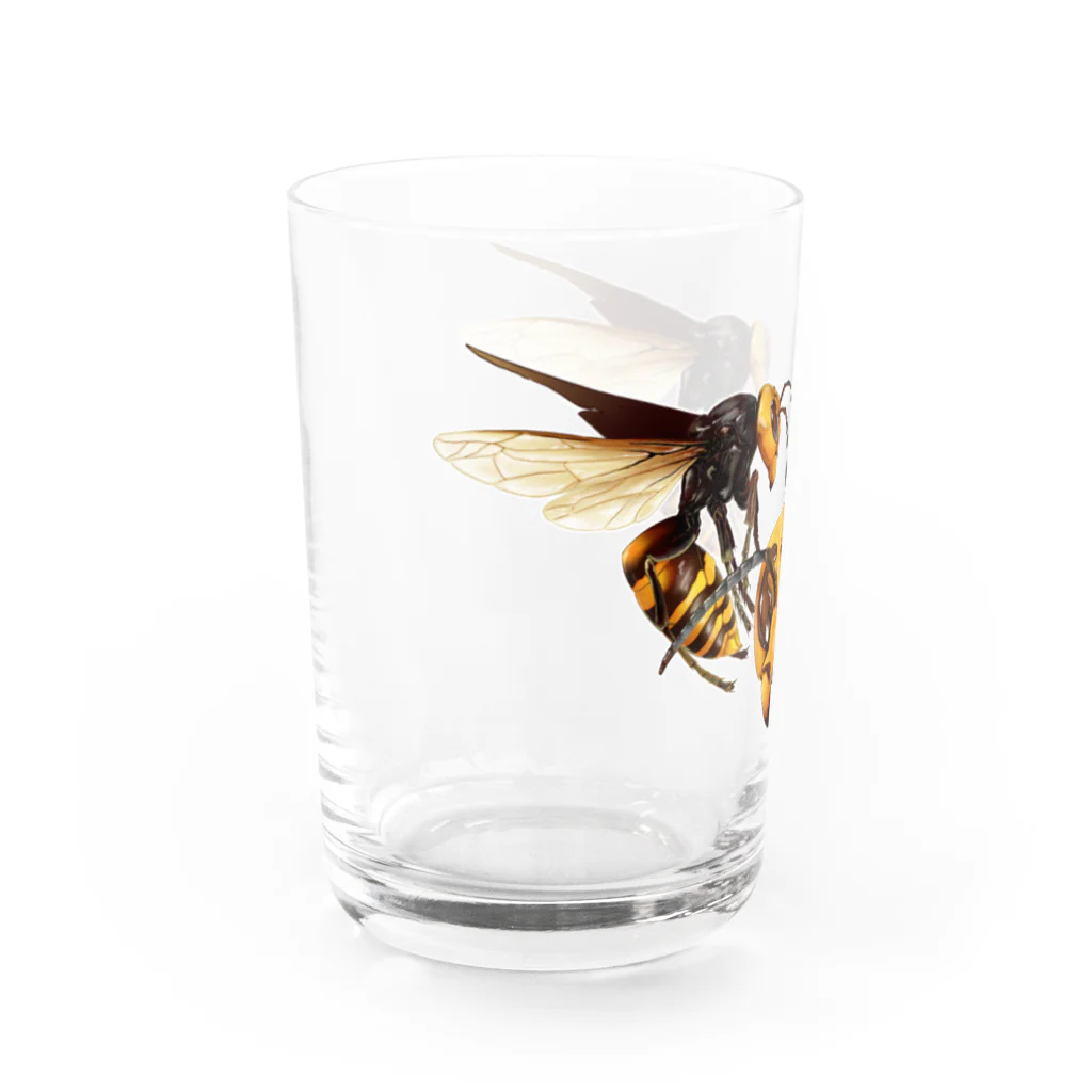 バカロットはこっぱみじんこのオオスズメバチ Water Glass :left