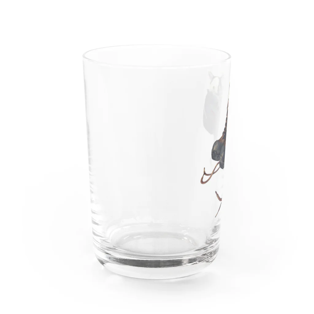 ウエダマサノブ＠アトリエ縄文じいさんのくつねこ Water Glass :left