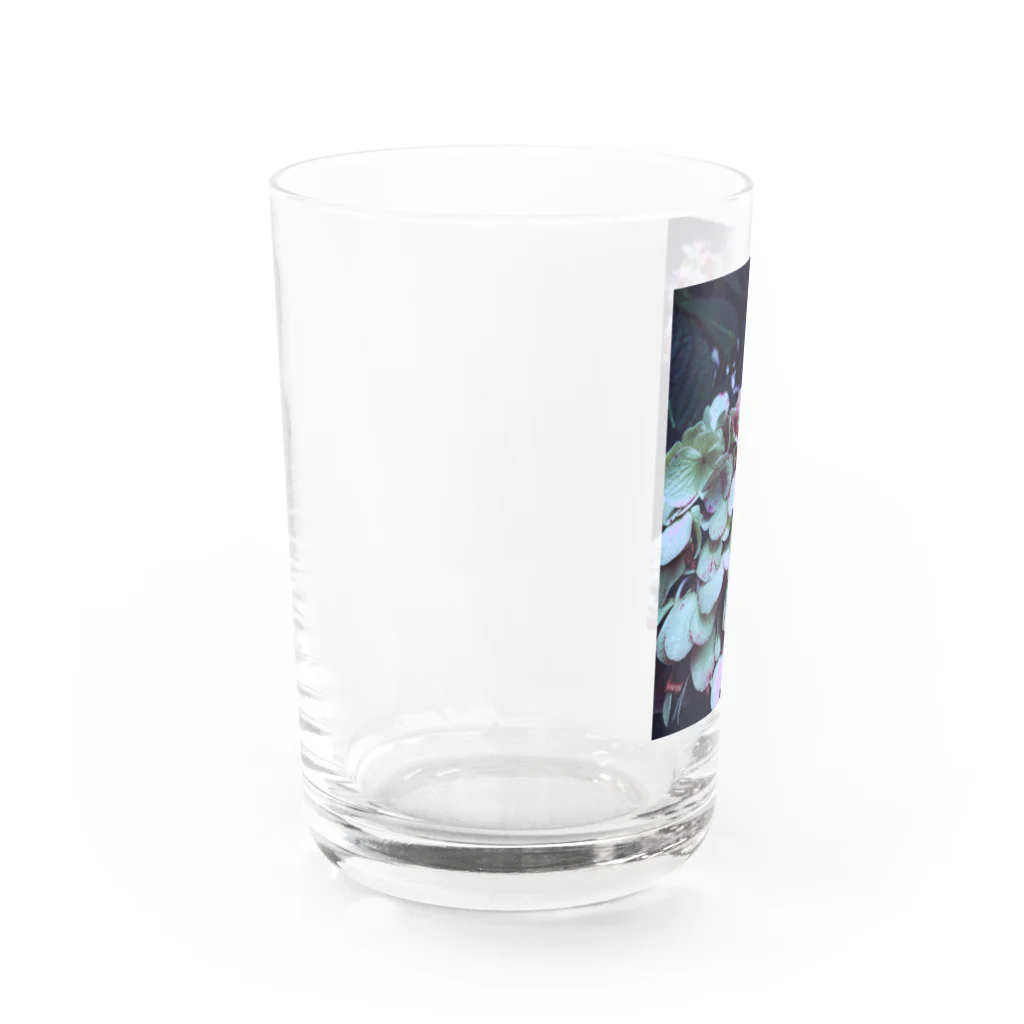 ゆるゆる生きる虎子のよるあじさい Water Glass :left