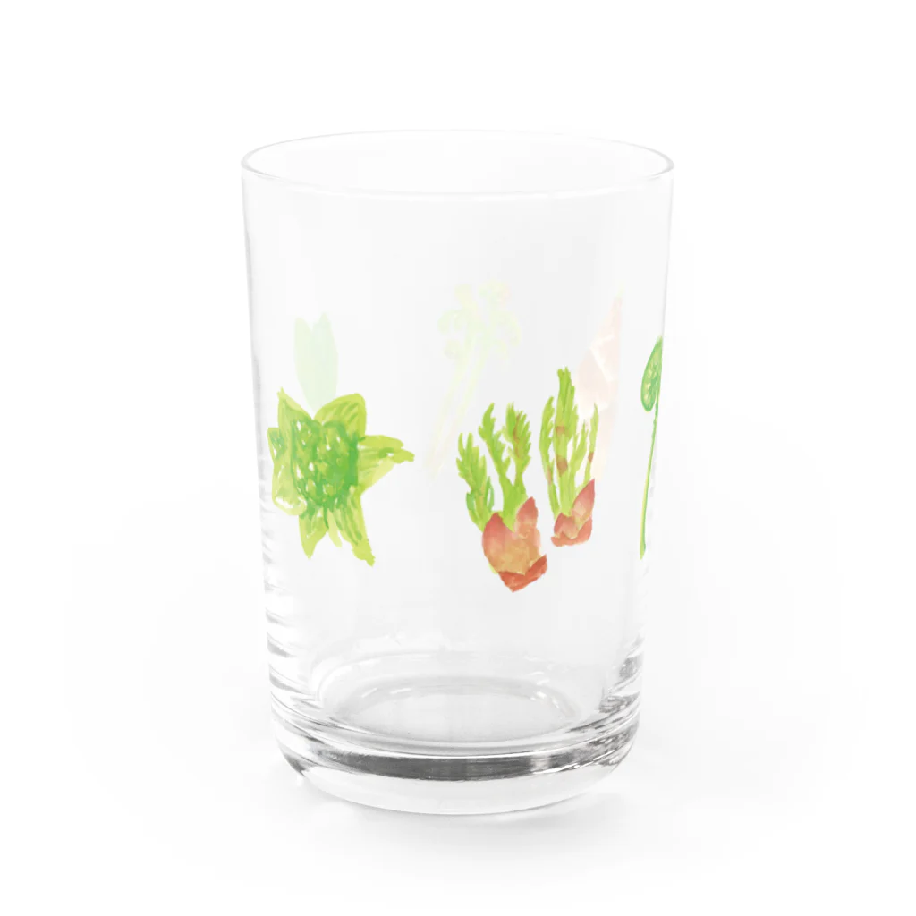 デネッカの山菜 Water Glass :left