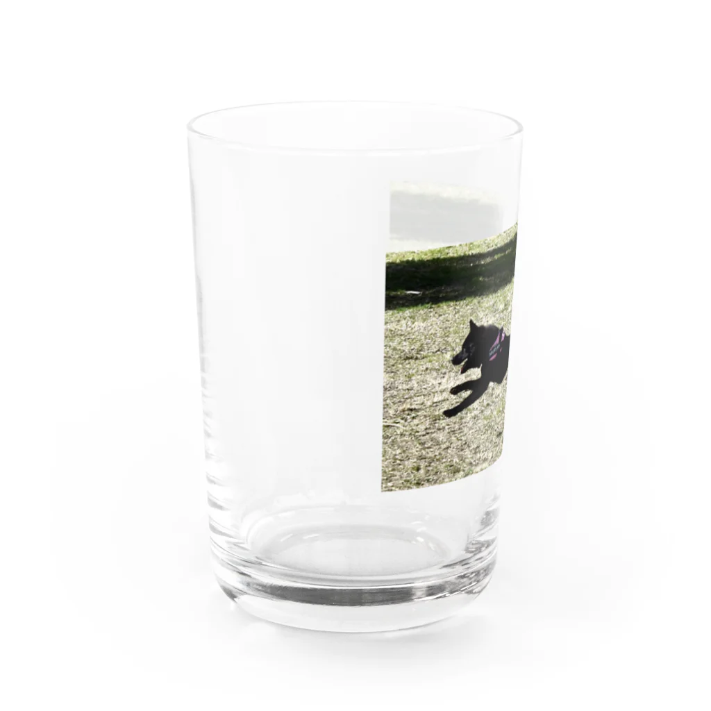 龍馬と紬の部屋の紬ちゃん Water Glass :left