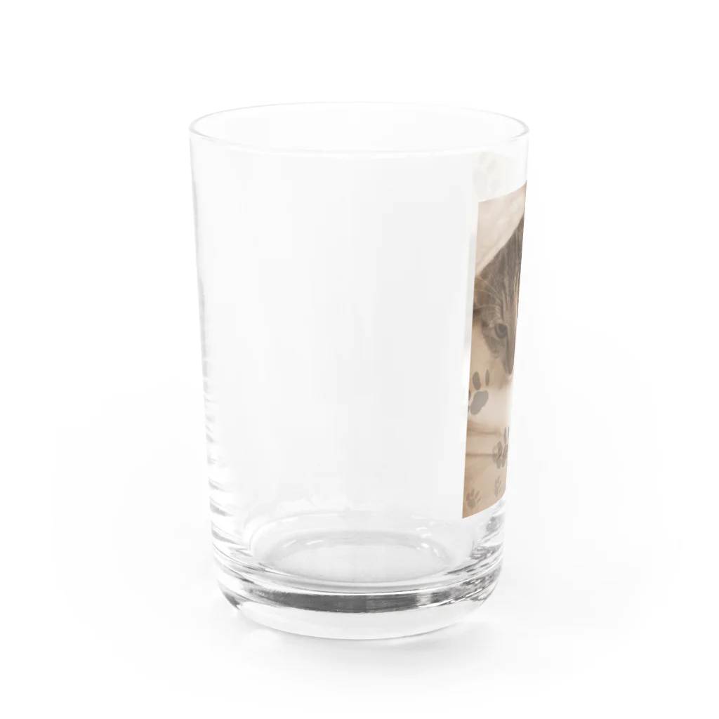 ねこ屋にこ日和の思い出1 Water Glass :left