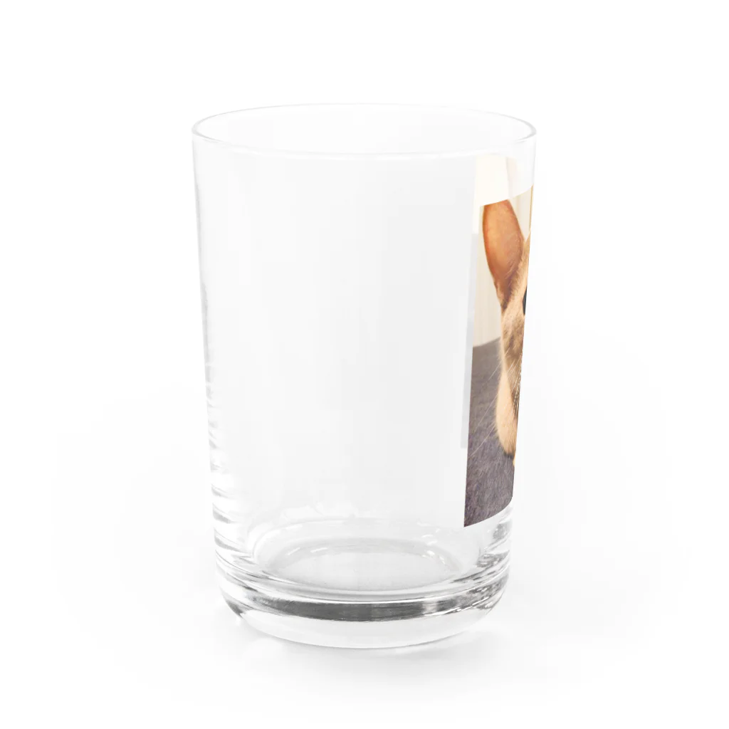 しまりすのごろぐらす Water Glass :left