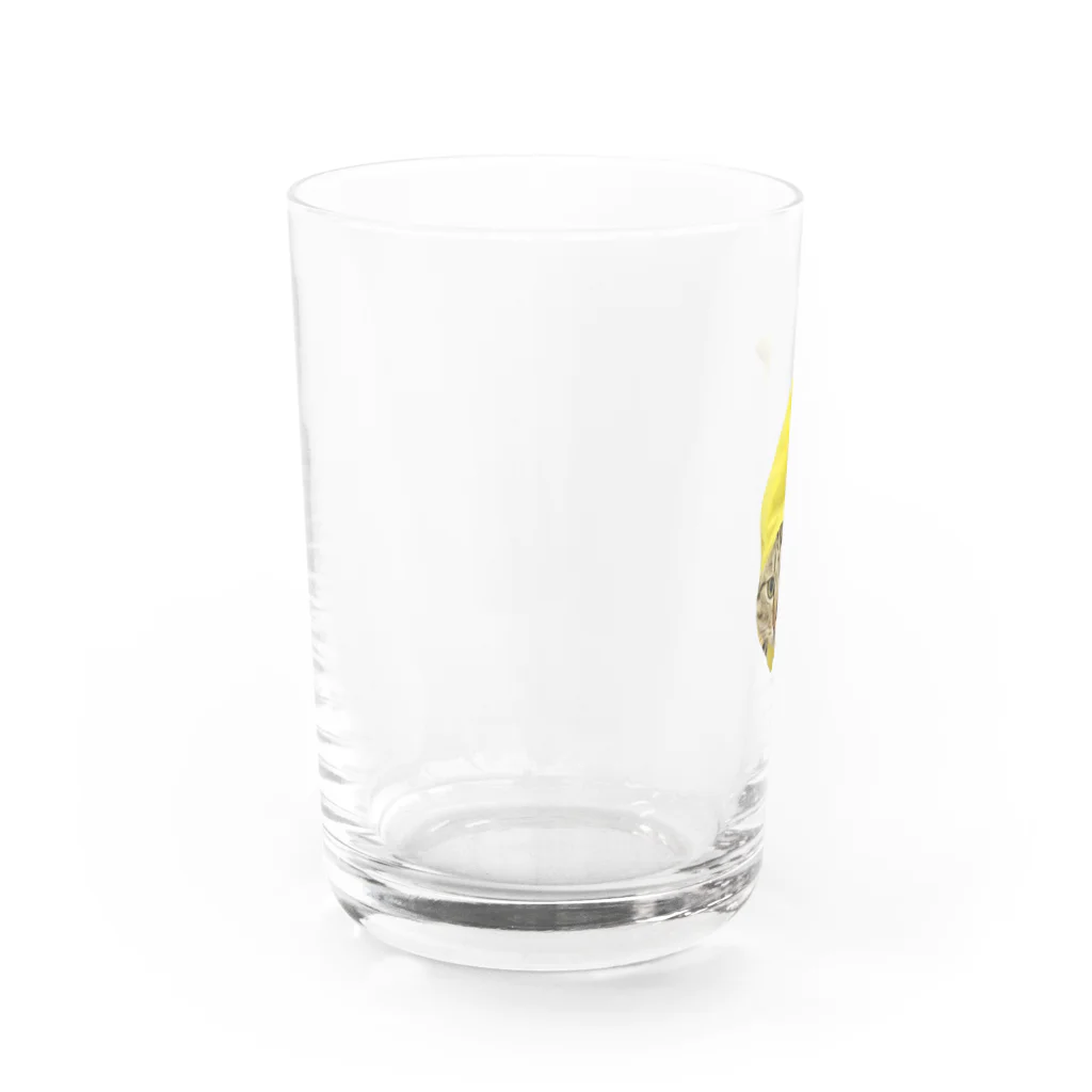 こちょらのバナナこちょら Water Glass :left