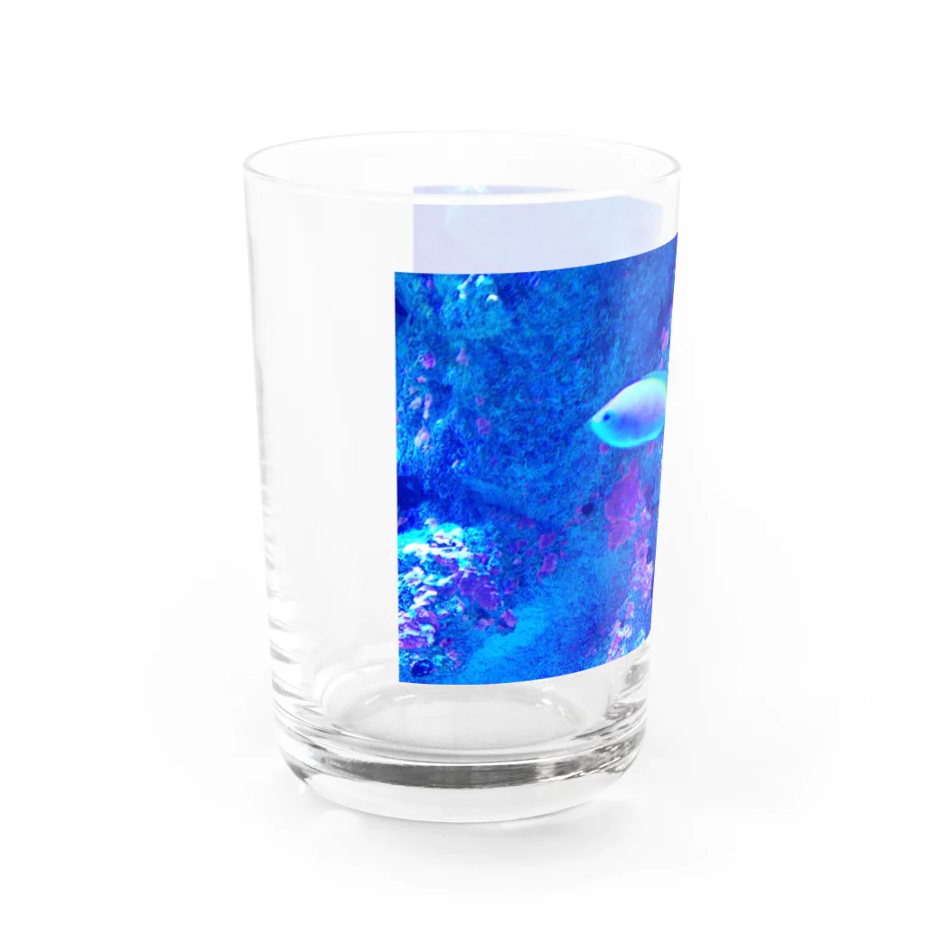 ことりの家のウメイロモドキ Water Glass :left