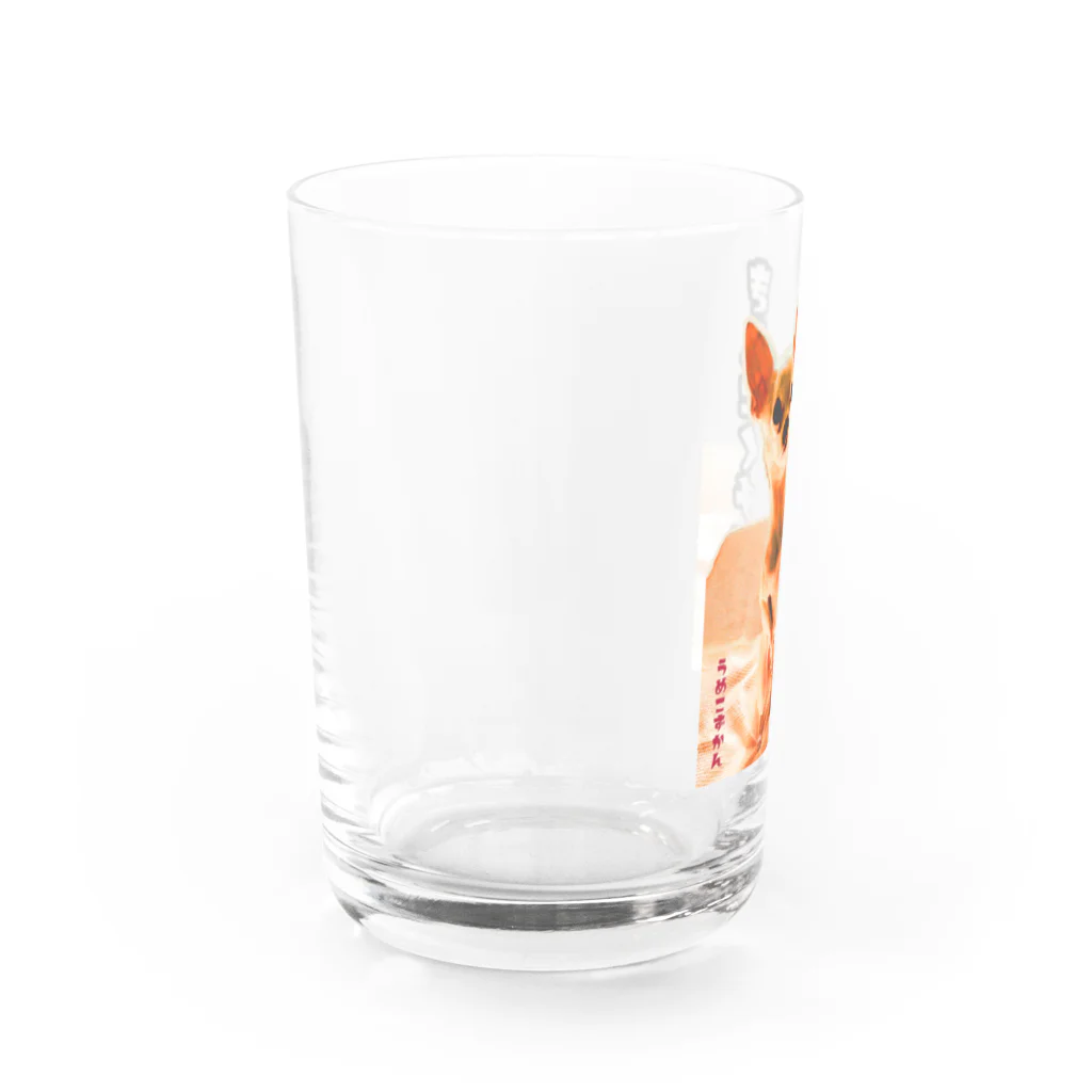 うめこずかんの筋肉チワワスケルトン Water Glass :left