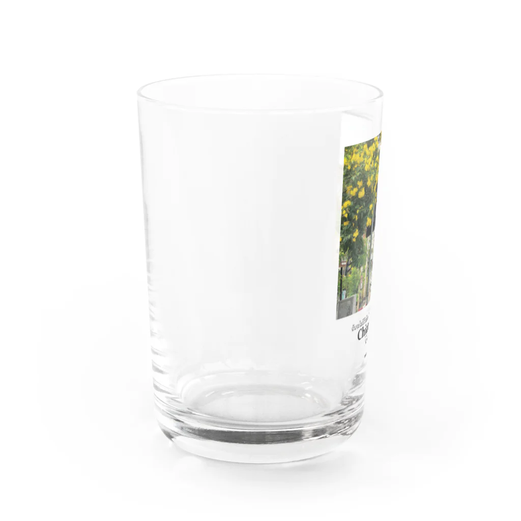 yutriptのチェンマイの花とソンテウ Water Glass :left