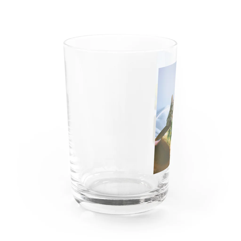34のたまごサンド Water Glass :left