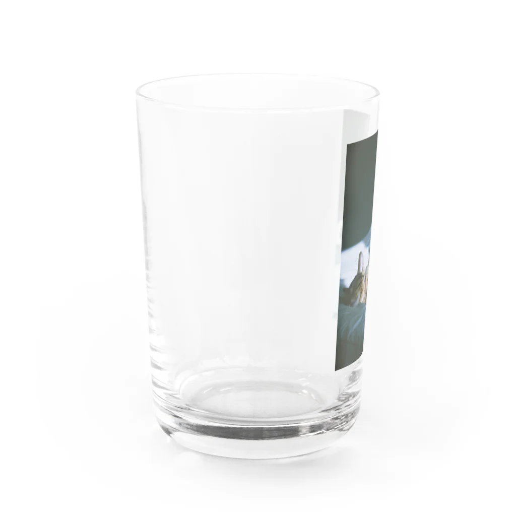 34のひかり Water Glass :left