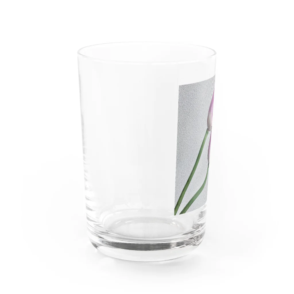 都の蓮の花 Water Glass :left