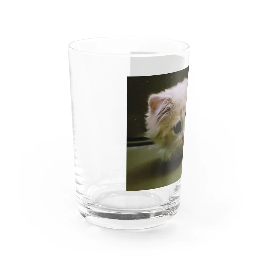 にゃんこの「めめたん」グッズのへろ〜ん Water Glass :left