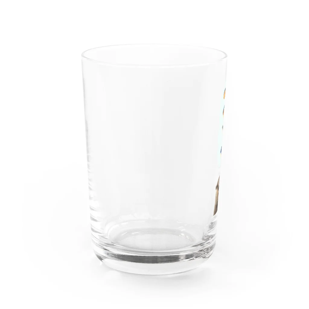 うさかふぇmimiSHOPの切り身たべたいなあ Water Glass :left