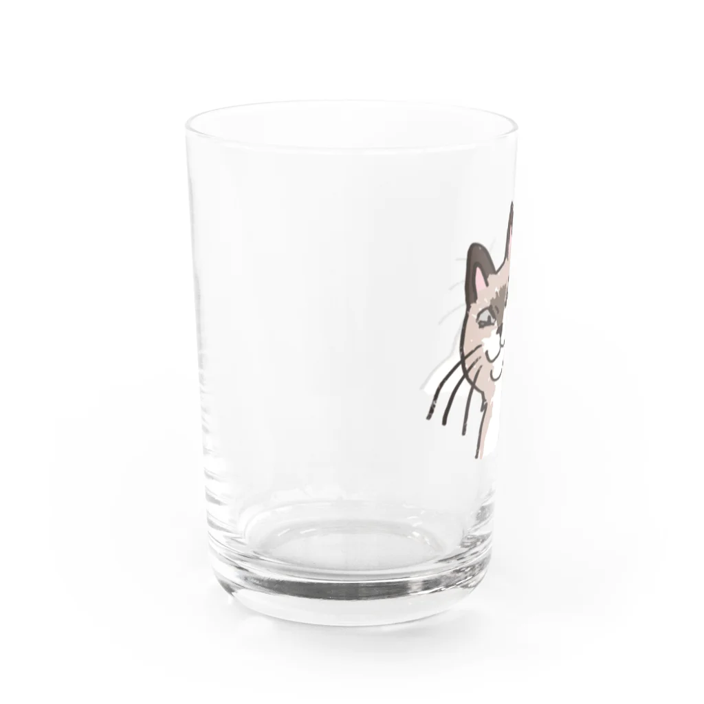 是我それのなんやねん感のある猫06 Water Glass :left