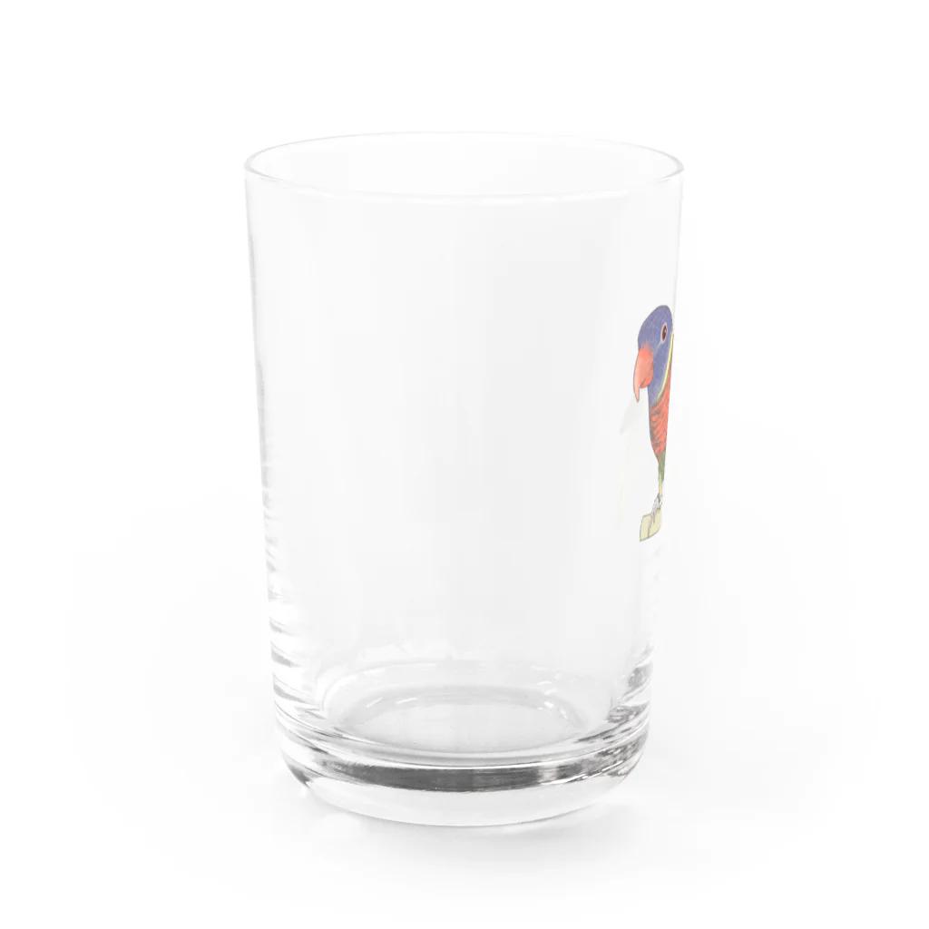 まめるりはことりの色合いが綺麗なゴシキセイガイインコちゃん【まめるりはことり】 Water Glass :left