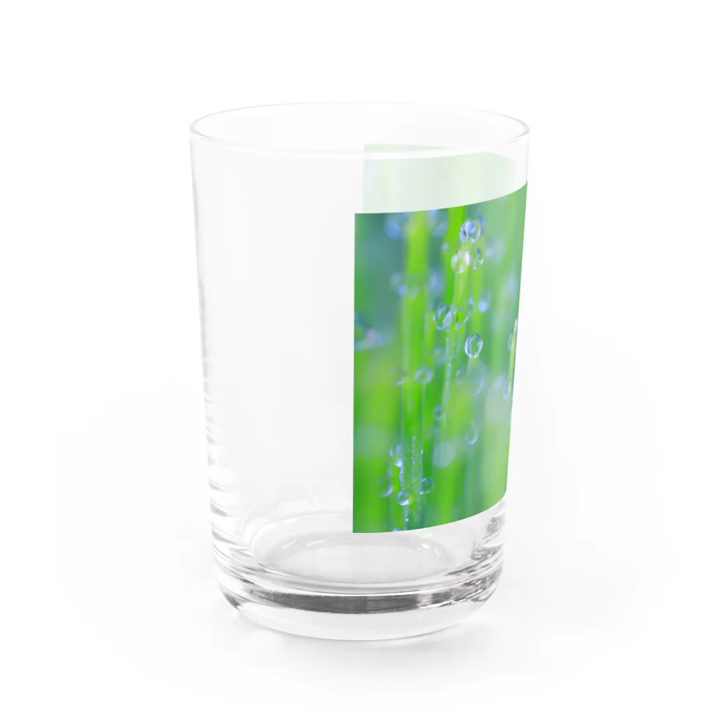 花と緑のみずたま Water Glass :left