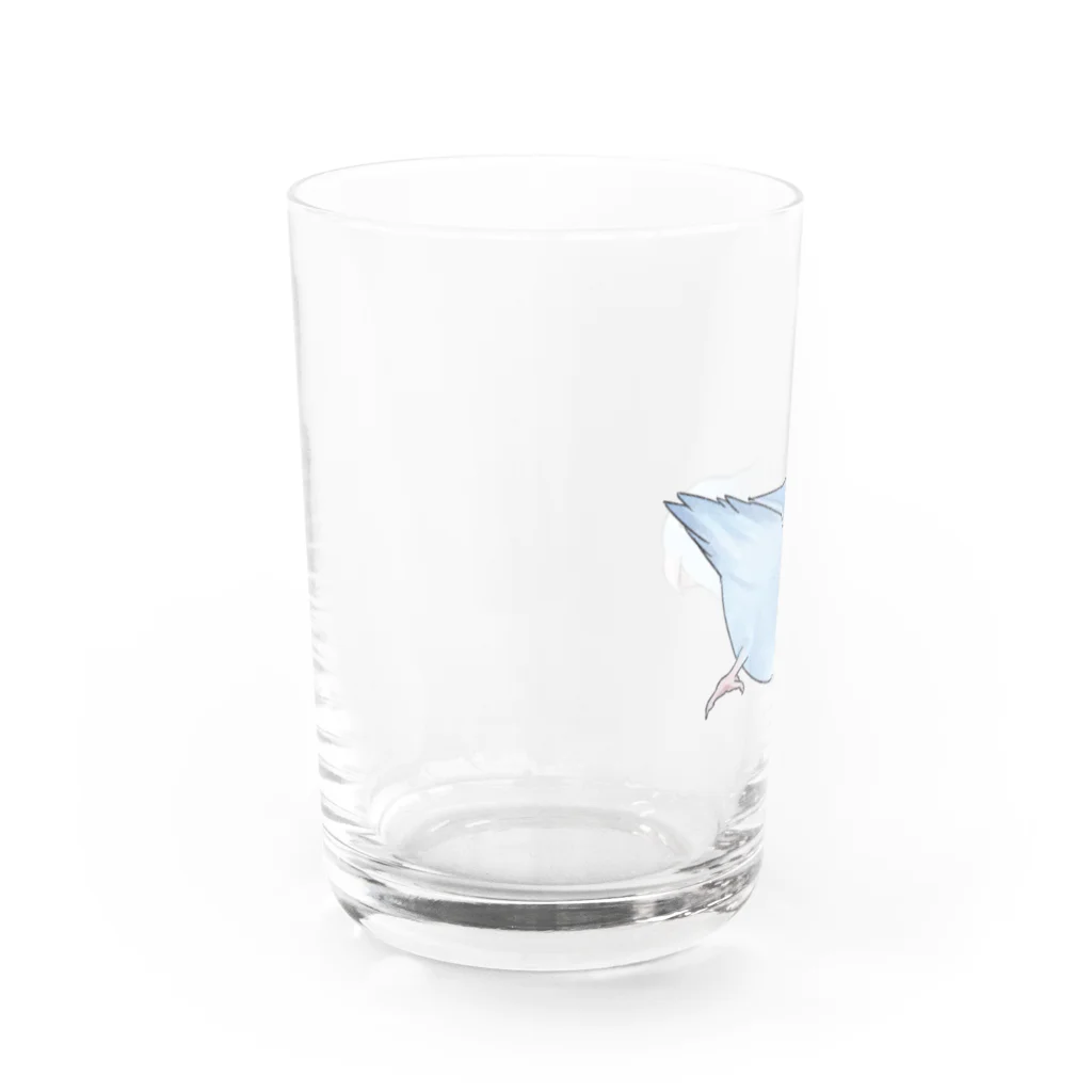 まめるりはことりのマメルリハ　もちふりちゃん【まめるりはことり】 Water Glass :left