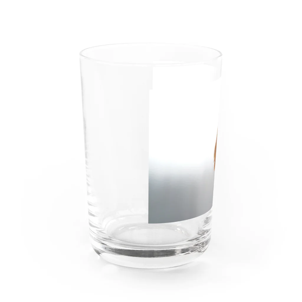 花と緑のラナンキュラス Water Glass :left