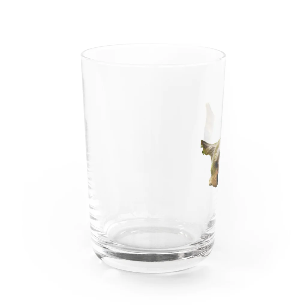 ayatan3939のヨーキー Water Glass :left