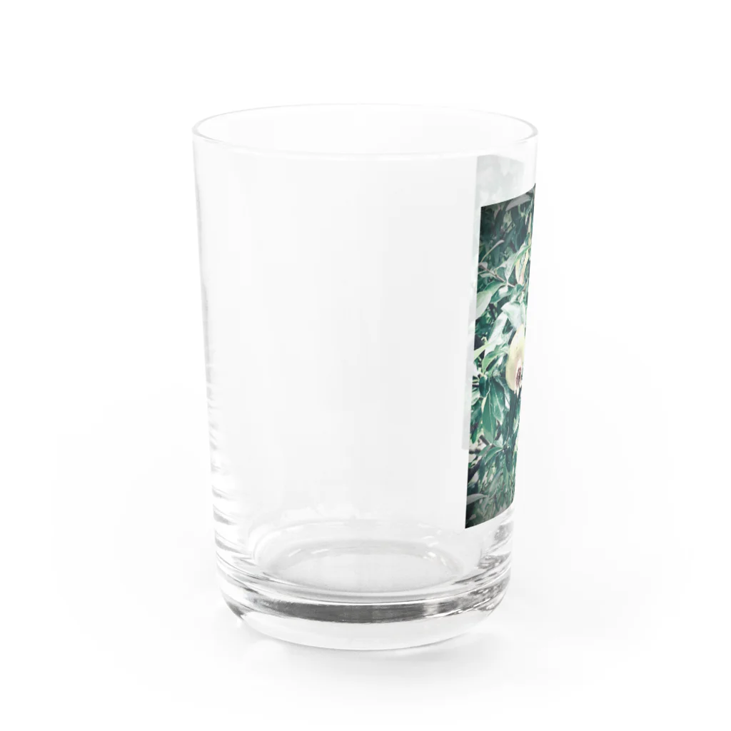 除夜の青い石榴 Water Glass :left