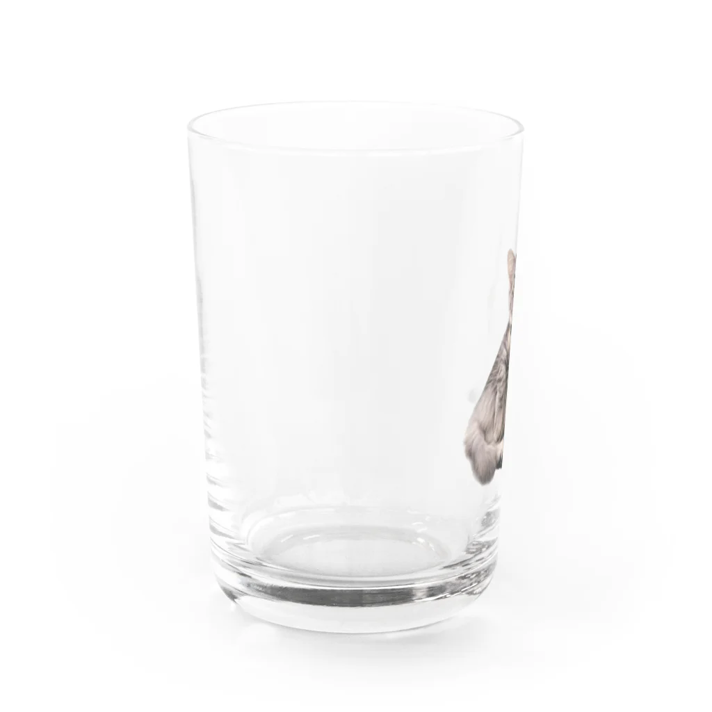 うちのネコチャンのお座りネコチャン Water Glass :left