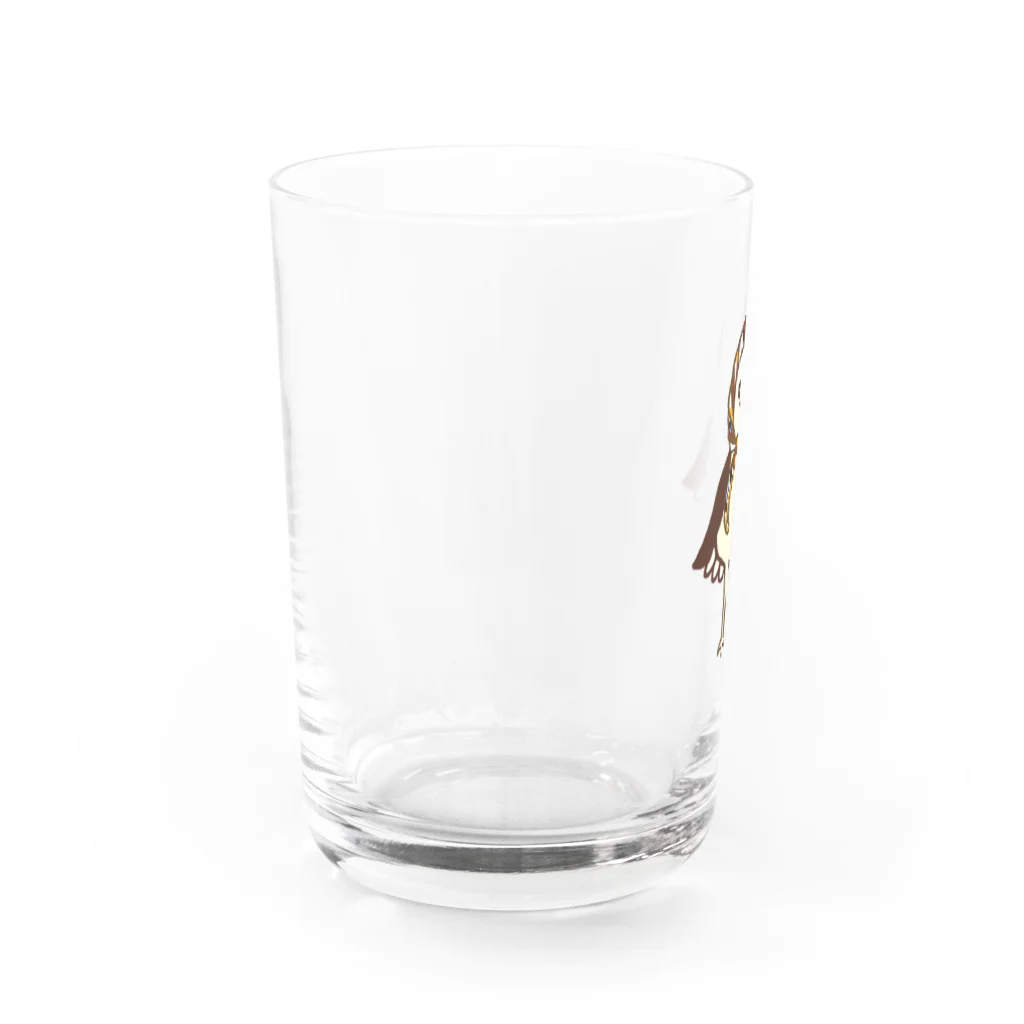 amyu-k フクロウセンターのマチコ巻きメンフクロウ Water Glass :left