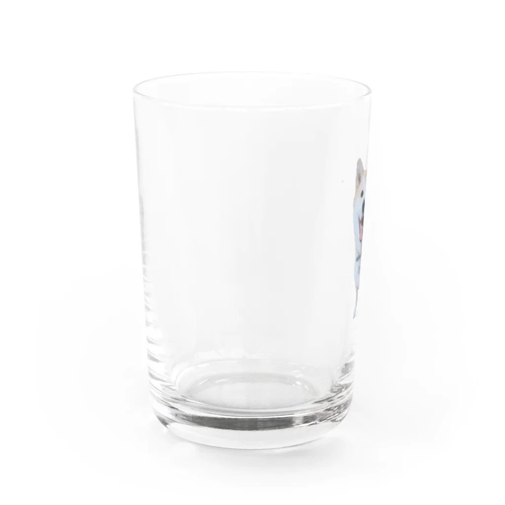 みよしみきのまめちゃん Water Glass :left
