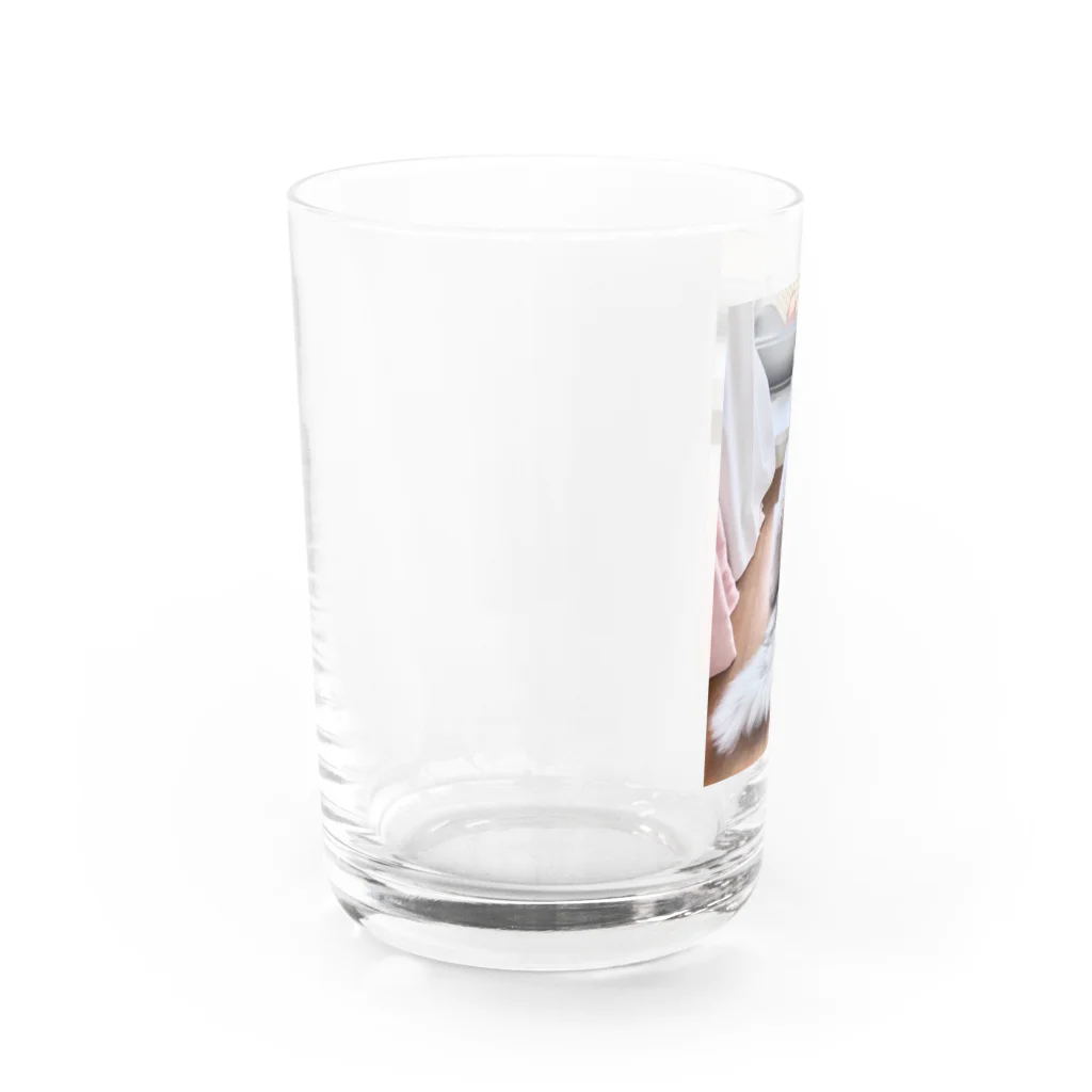 猫しゃちょうのアッくんの、お・し・り❤ Water Glass :left