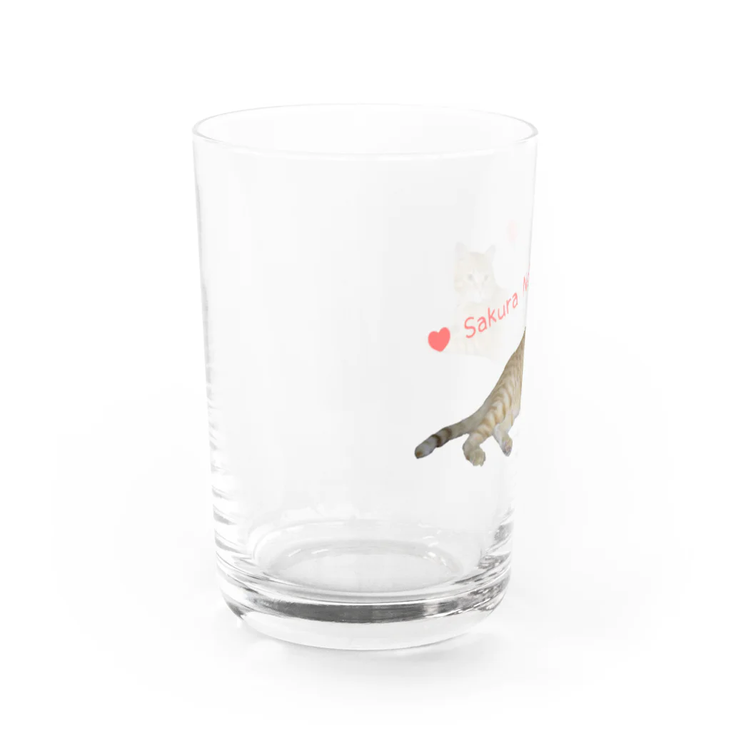 えみちーず（元野良と保護猫の為に🐾）のチャトラまったり🐾（さくら猫） Water Glass :left