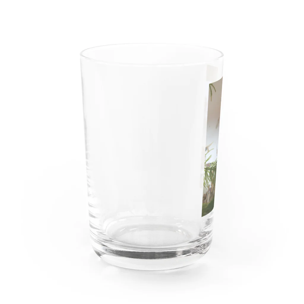 SoooAdorableのメダカ好き Water Glass :left