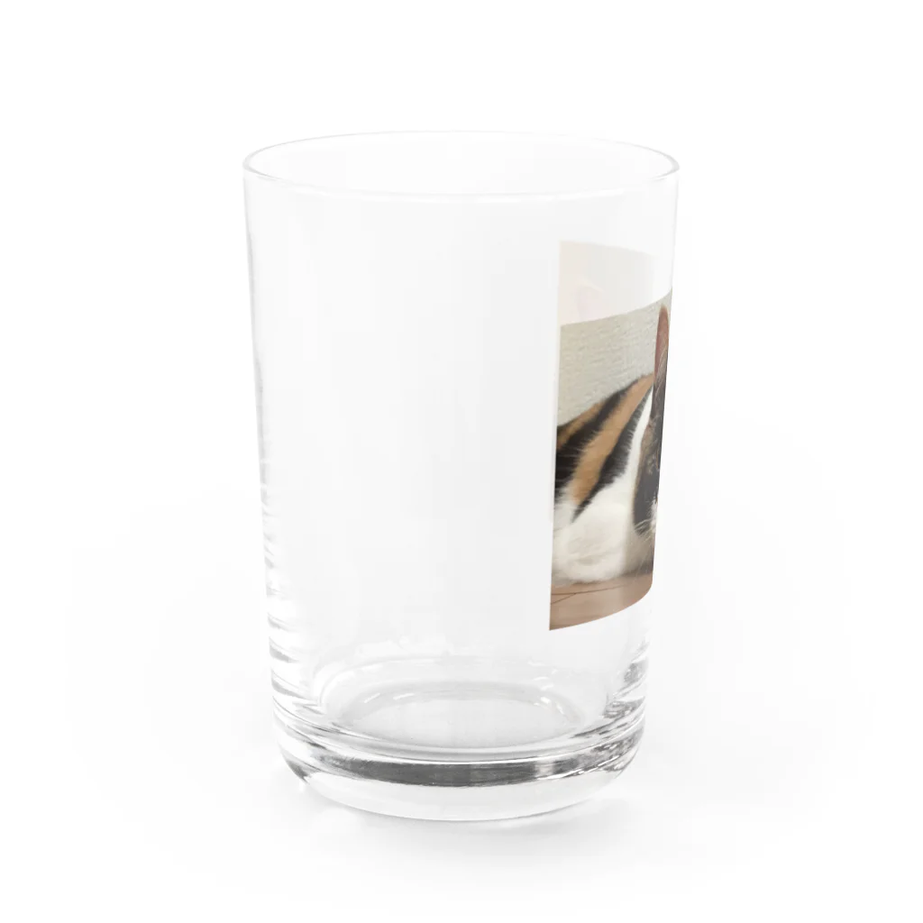 りーたんのんたんのりーたん Water Glass :left