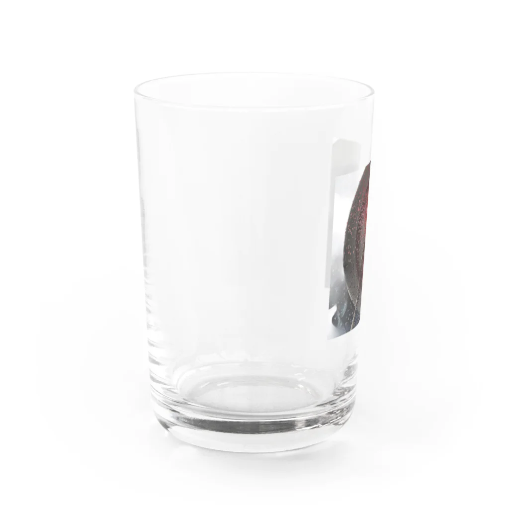 hitosaramonogatari＊shopのザクロ Water Glass :left