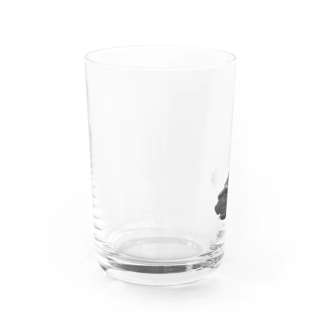 DNS PETのゼニガメのきん Water Glass :left