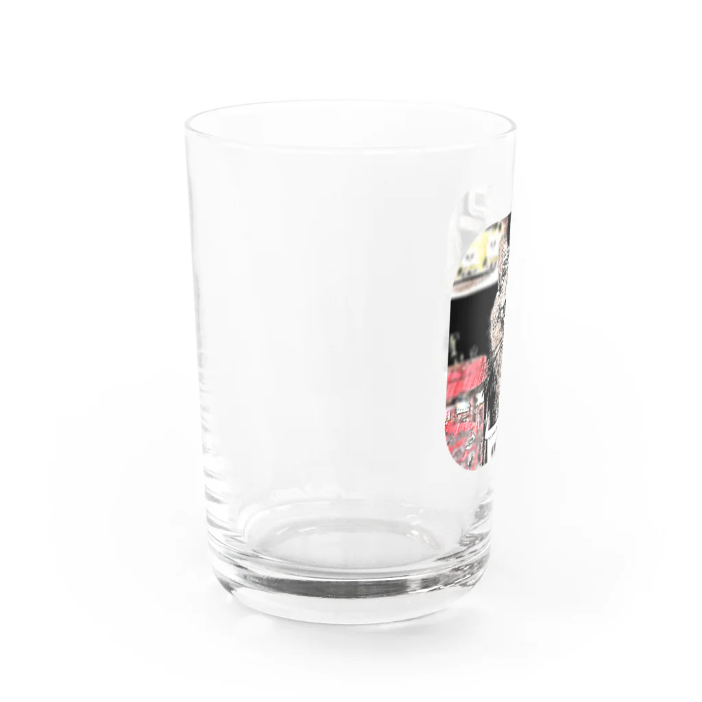 マロマロのMAROchan 入っちゃった Water Glass :left