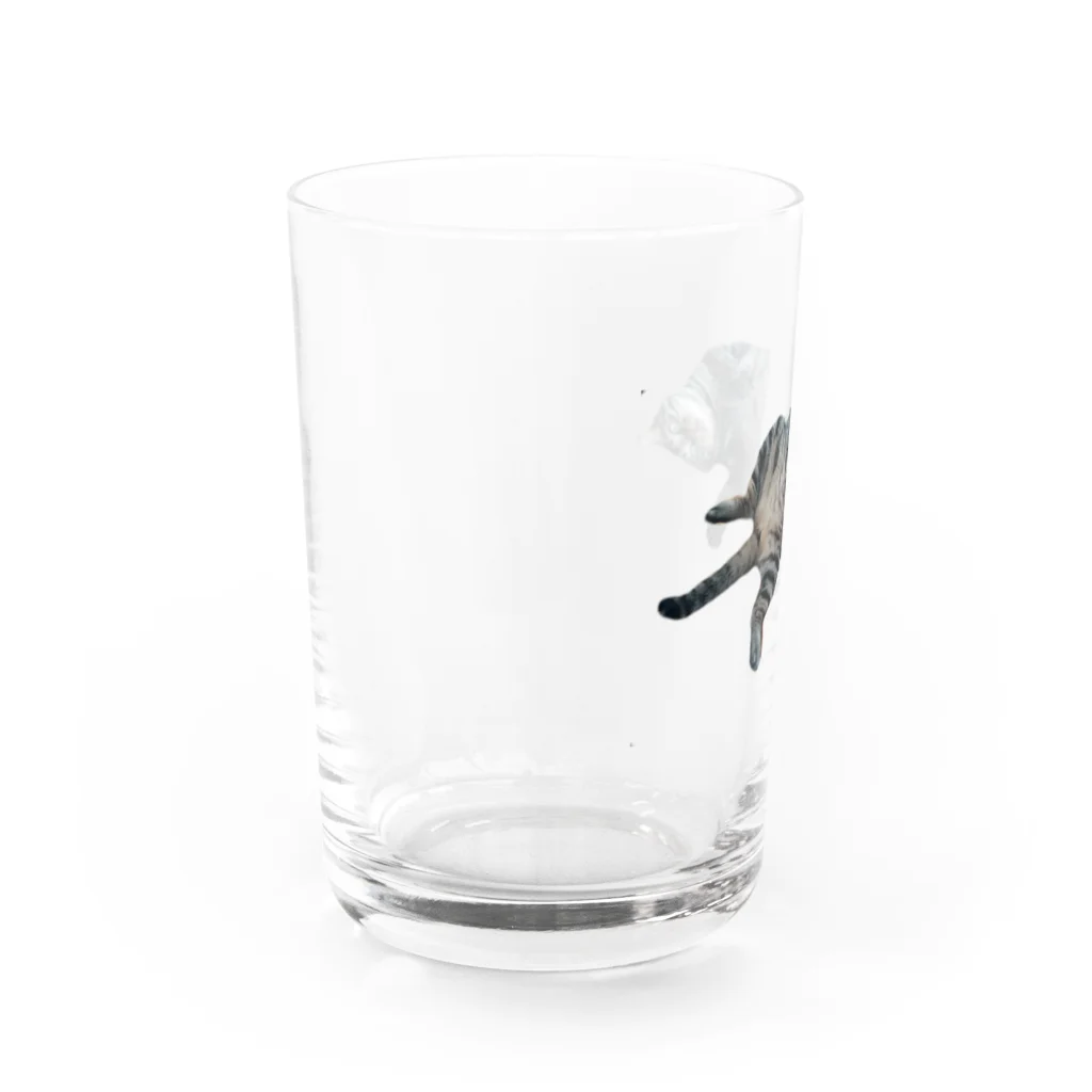 k_iの猫の空くん Water Glass :left