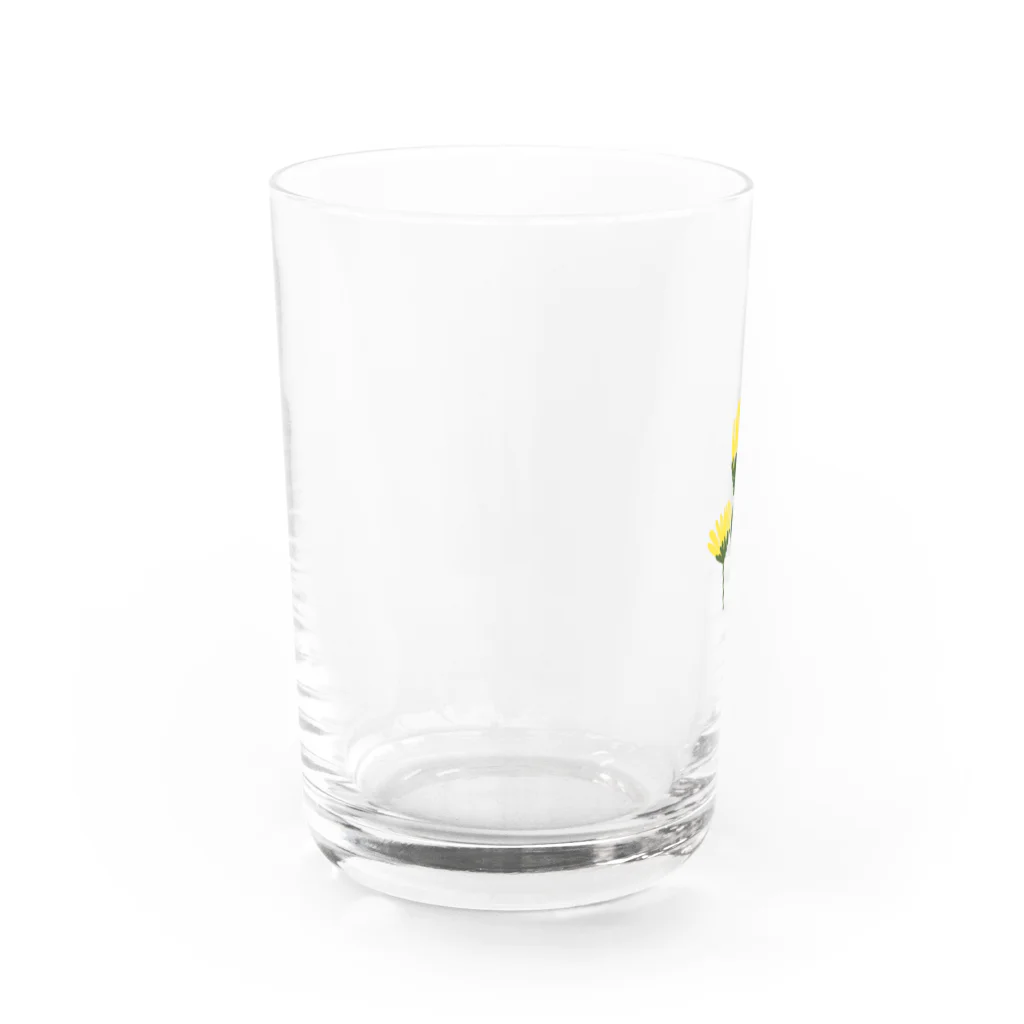 ｶﾝﾇのたんぽぽ Water Glass :left