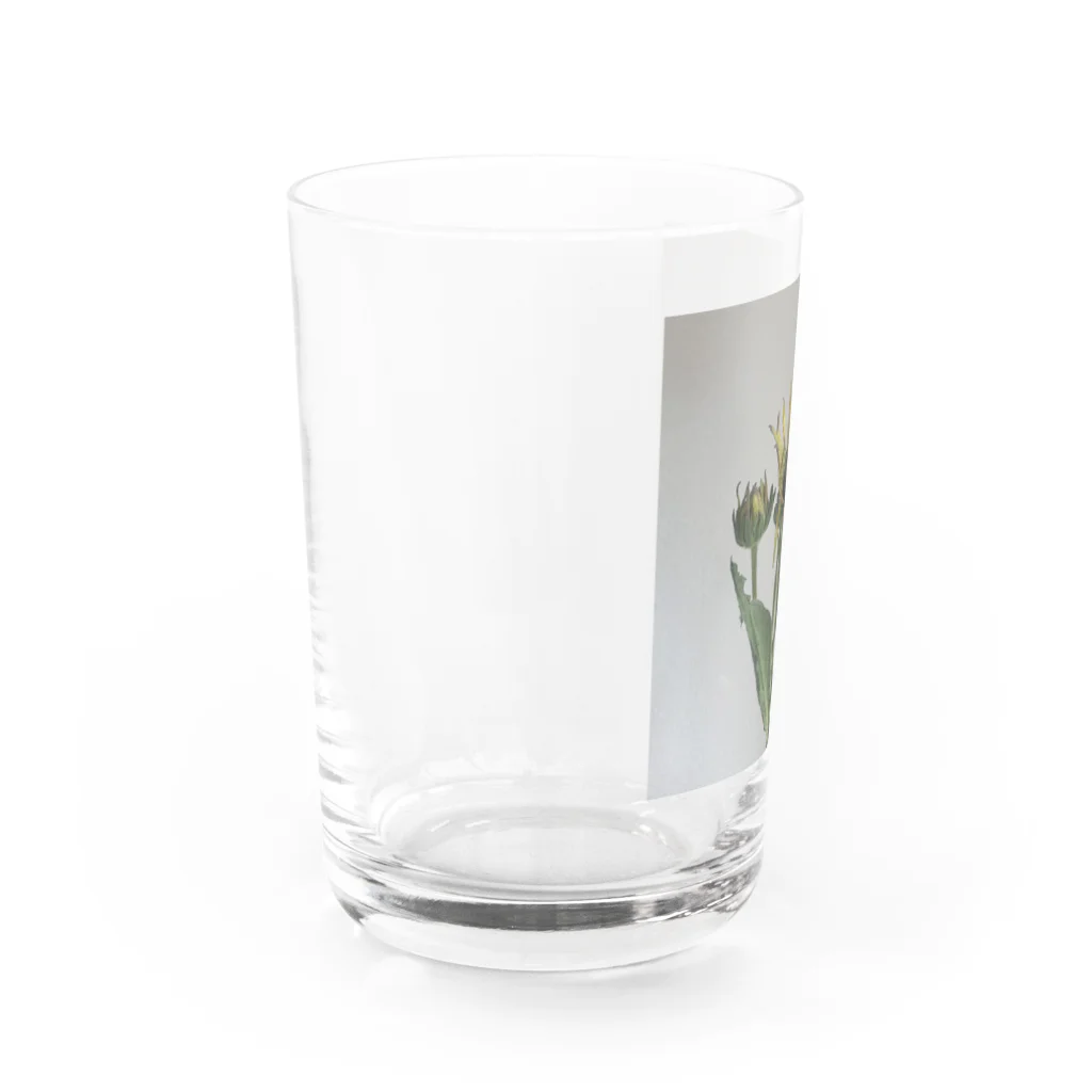 はづきのエレクトラショック Water Glass :left