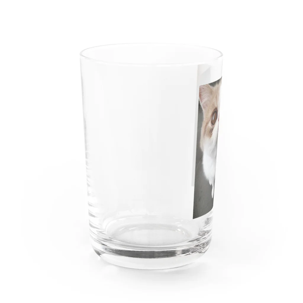 エキゾのアルのエキゾのアルくん2 Water Glass :left